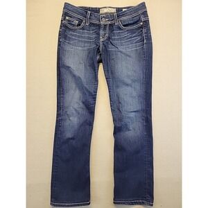 BKE Payton Straight Leg Jeans Men's 29R Dark Wash Stretch Denim Classic Fit